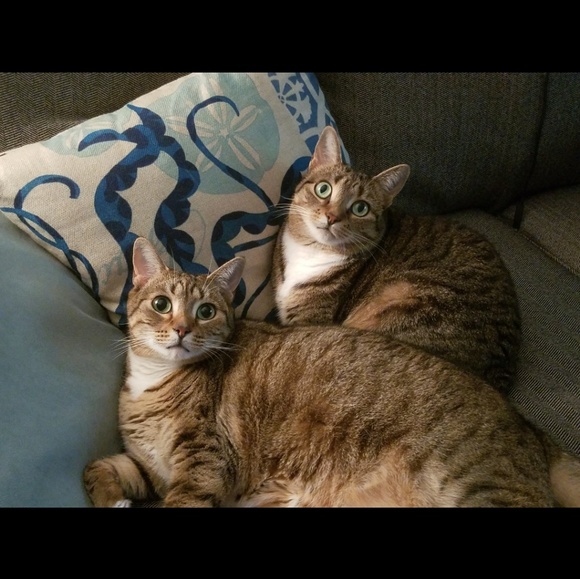 Meet your Posher - Picture 1 of 1